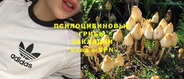 спайс Верхний Тагил